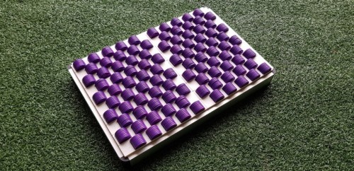 Consumptiemunten paars 1000 stuks in telbak